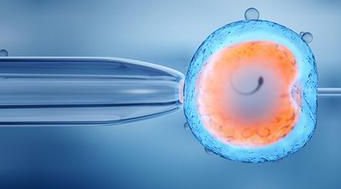 试管人工周期移植囊胚，相比其他方式有哪些独特的优势和好处？